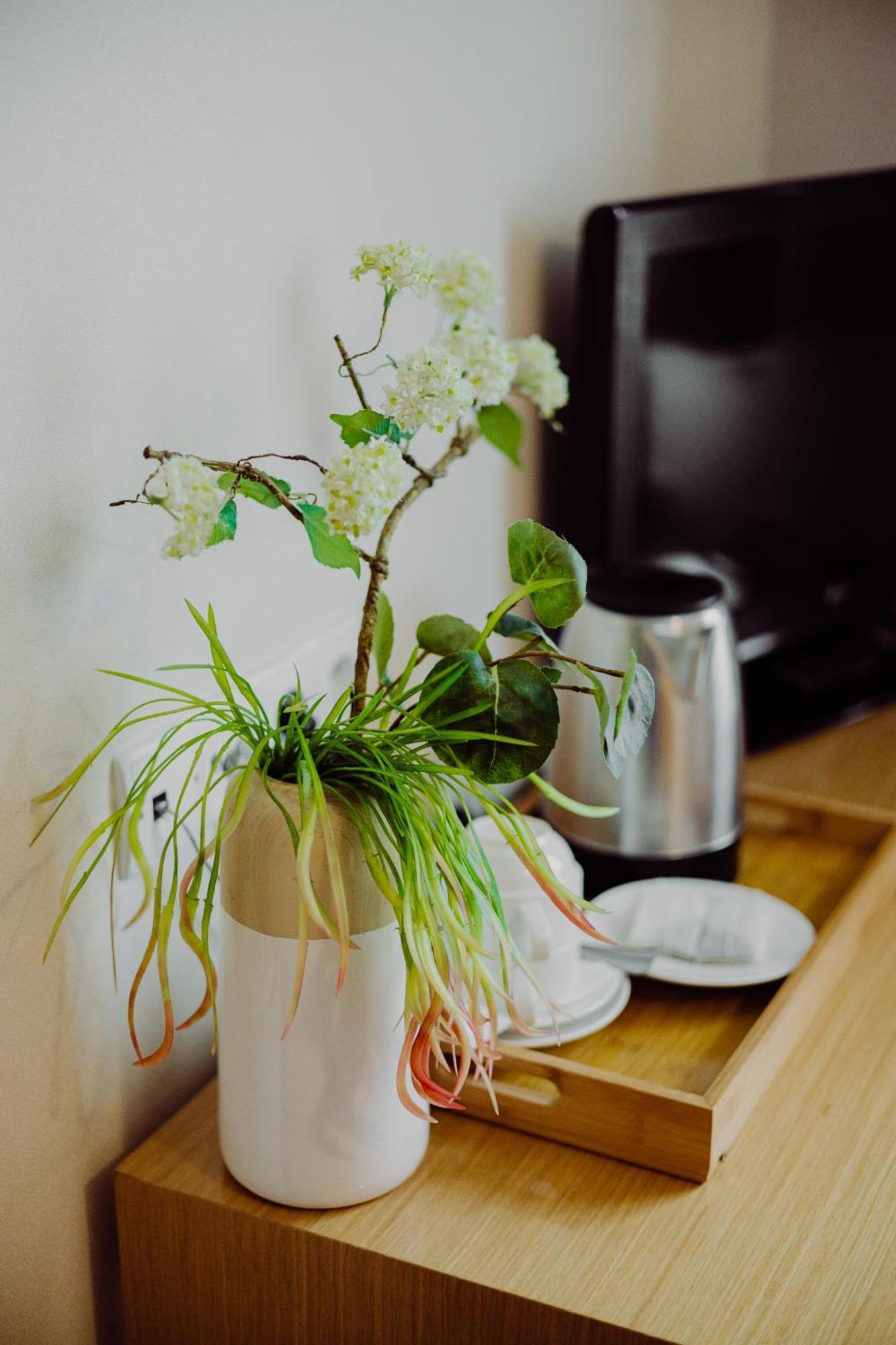 Hotel Bonsai 涅姆恰 外观 照片