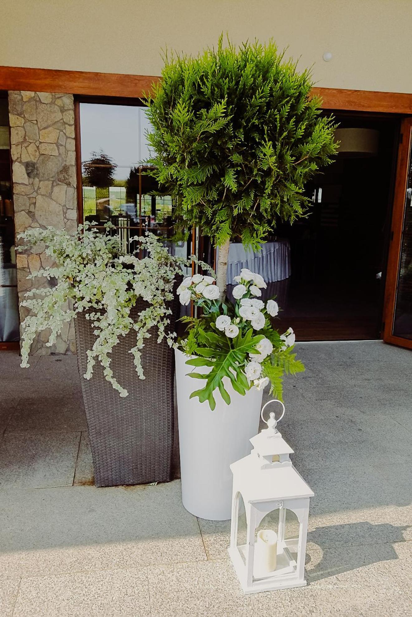 Hotel Bonsai 涅姆恰 外观 照片